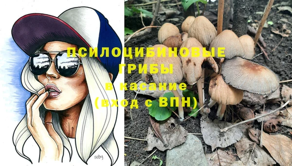 PSILOCYBIN Зерноград
