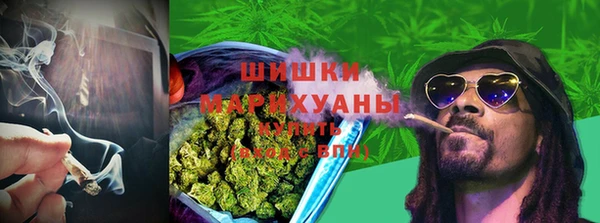 PSILOCYBIN Зерноград