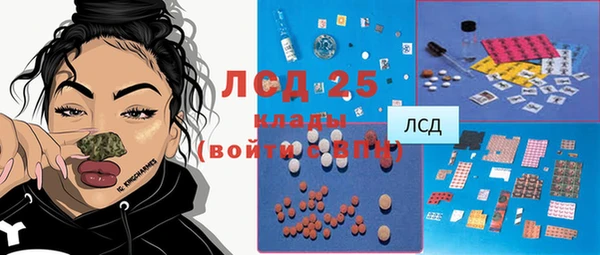 PSILOCYBIN Зерноград