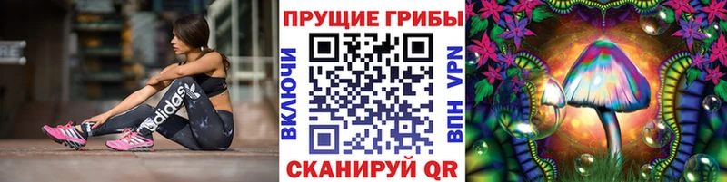 Купить  Спасск-Рязанский  Галлюциногенные грибы мицелий 
